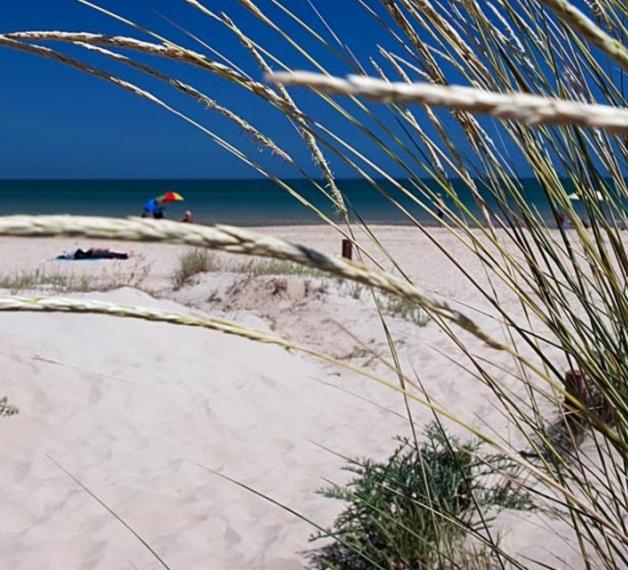 Giardino Botanico Mediterraneo San Salvo