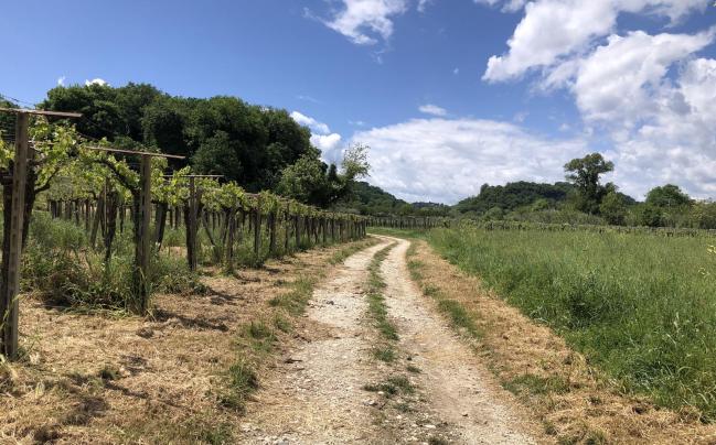 Itinerario storico che collega San Vito e Rocca San Giovanni a San Giovanni in Venere