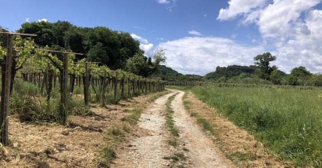 Itinerario storico che collega San Vito e Rocca San Giovanni a San Giovanni in Venere