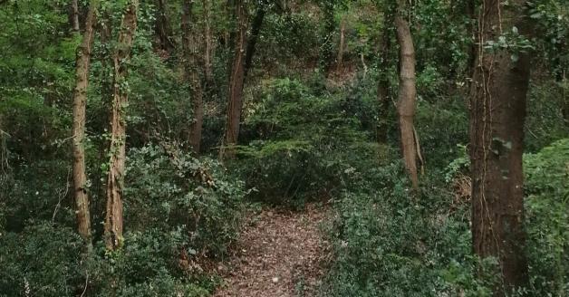 Lecceta di Torino di Sangro