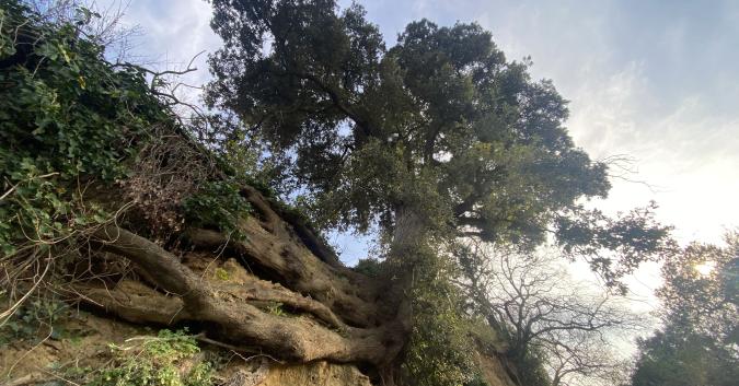 Sul sentiero 381 - Tra terra e mare