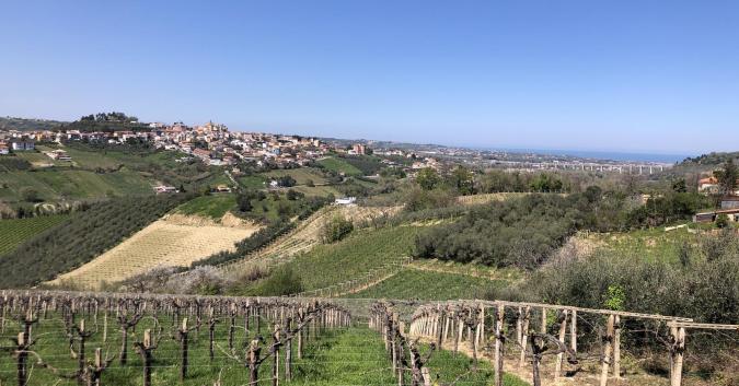 Vista di Miglianico e dei suoi vigneti