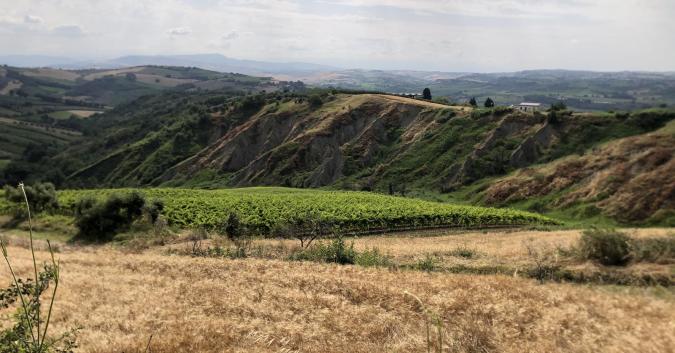 Dettaglio sui calanchi