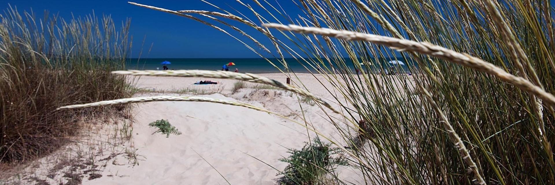Giardino Botanico Mediterraneo San Salvo