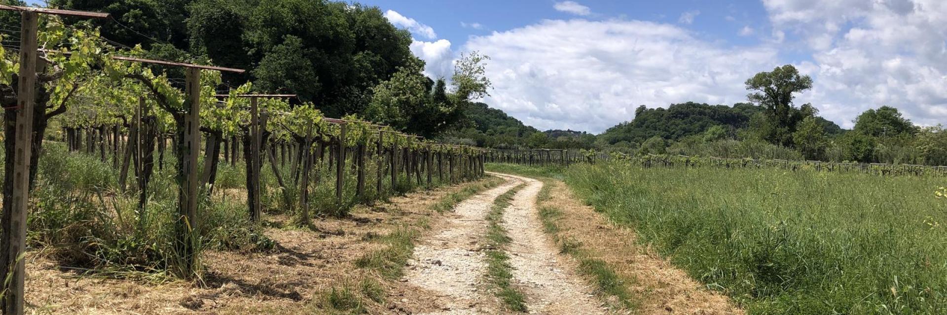 Itinerario storico che collega San Vito e Rocca San Giovanni a San Giovanni in Venere