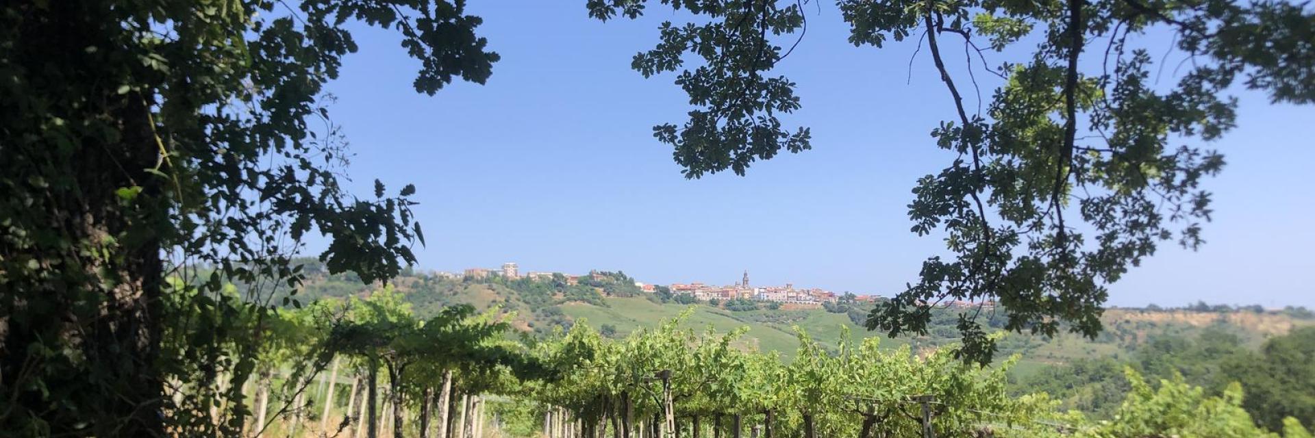 Panorama su Casalbordino