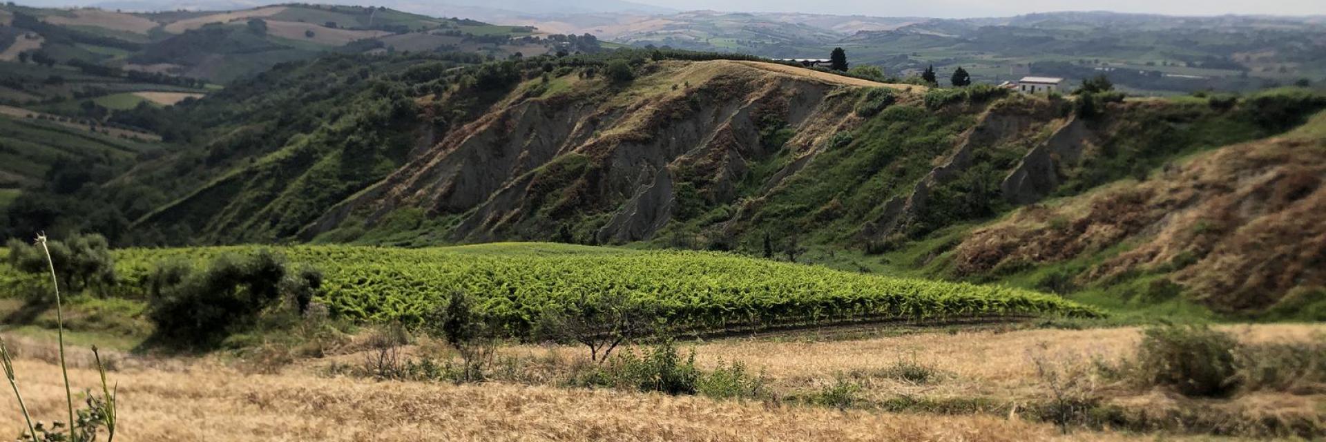 Calanchi di Monteodorisio