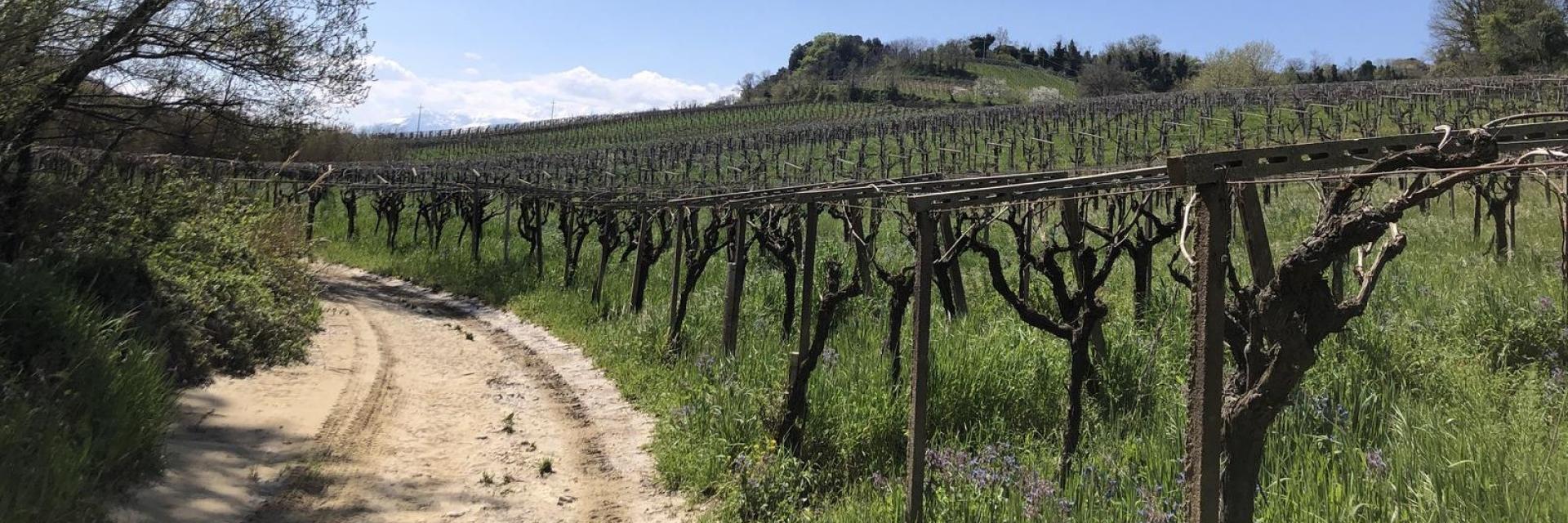 Tra natura ed enogastronomia